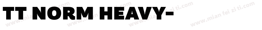 TT NORM HEAVY字体转换